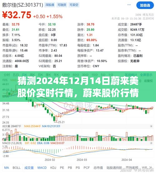 蔚來股價行情展望，解析蔚來在2024年12月14日的股價實時行情預測及展望