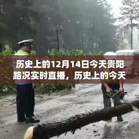 歷史上的今天與實時直播，貴陽路況見證變化的力量與自信之光
