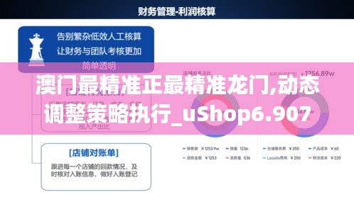 澳門最精準正最精準龍門,動態調整策略執行_uShop6.907