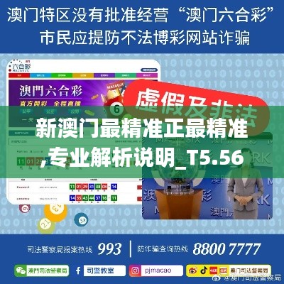 新澳門最精準正最精準,專業解析說明_T5.567