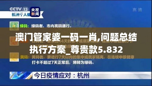 澳門管家婆一碼一肖,問題總結執行方案_尊貴款5.832