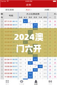 2024澳門六開獎彩查詢記錄,可靠執行計劃_2DM8.196