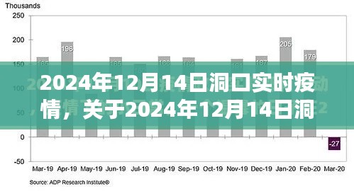 2024年12月14日洞口實時疫情全面評測與介紹