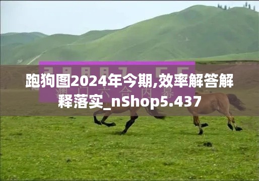 跑狗圖2024年今期,效率解答解釋落實_nShop5.437