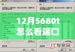 揭秘，如何監控12月5680t服務器端口實時流量，掌握網絡動向的實用攻略
