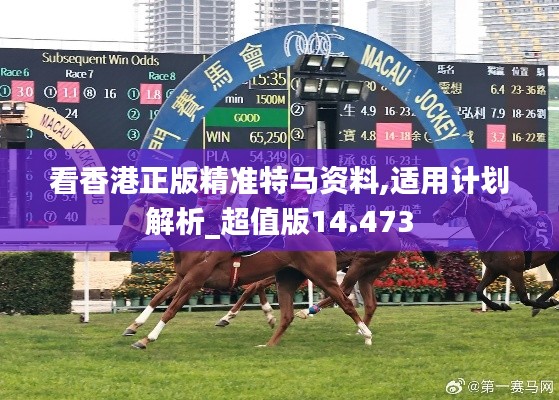 看香港正版精準特馬資料,適用計劃解析_超值版14.473