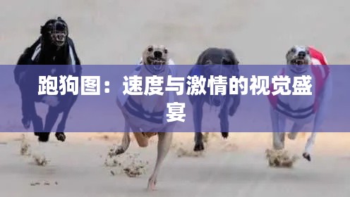 跑狗圖：速度與激情的視覺盛宴