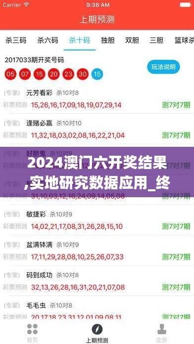 2024澳門六開獎結果,實地研究數據應用_終極版7.338