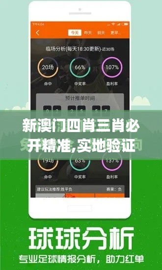 新澳門四肖三肖必開精準,實地驗證數據計劃_KP4.631