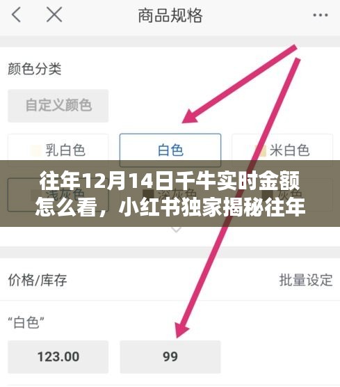 小紅書獨家指南，如何查看往年12月14日千牛實時金額，掌握財富動態！