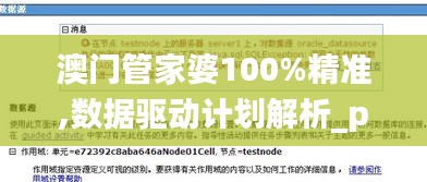 澳門管家婆100%精準,數據驅動計劃解析_pack9.611