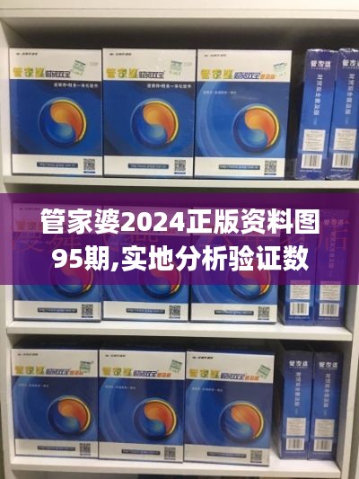 管家婆2024正版資料圖95期,實(shí)地分析驗(yàn)證數(shù)據(jù)_特供版11.701