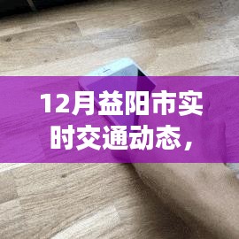 12月益陽市實時交通動態觀察與分析