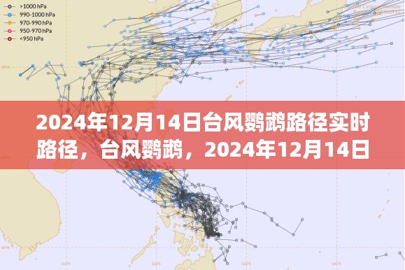 臺風鸚鵡實時路徑追蹤，風云際會于2024年12月14日