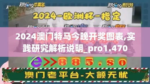 2024澳門特馬今晚開獎圖表,實踐研究解析說明_pro1.470
