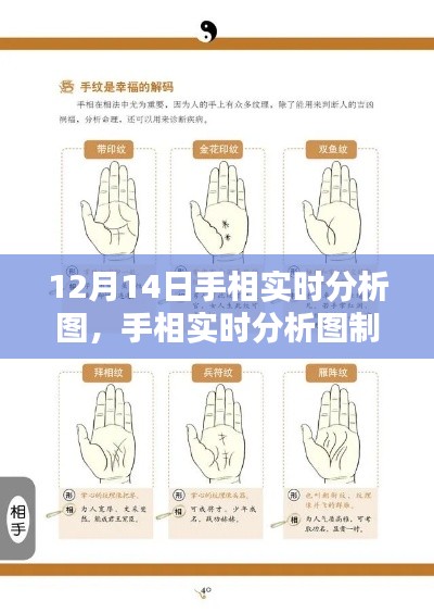 手相實時分析圖制作指南，從初學者到進階用戶，以12月14日手相分析為例