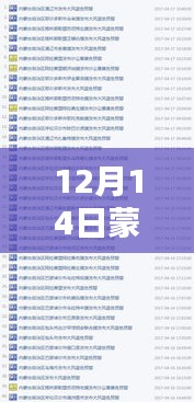 揭秘蒙古實(shí)時(shí)填報(bào)，深度解析與探討（12月14日）