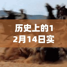 揭秘，歷史上的12月14日實時字幕翻譯賺錢背后的故事揭秘