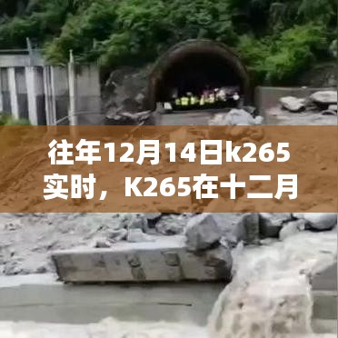 回望歷史軌跡，K265在十二月十四日的實時影響與地位分析