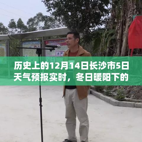 冬日暖陽下的長(zhǎng)沙奇遇，12月14日天氣預(yù)報(bào)與友情故事的交織