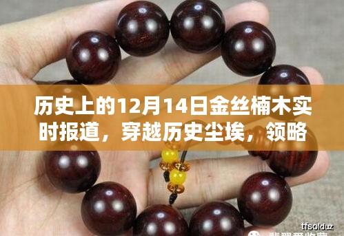歷史上的金絲楠木，穿越時光塵埃，智能家具時代的新紀元實時報道