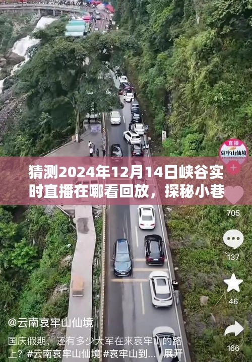 探秘小巷深處風味與揭秘峽谷直播回放觀看指南，重溫精彩瞬間（2024年峽谷直播回放觀看指南）
