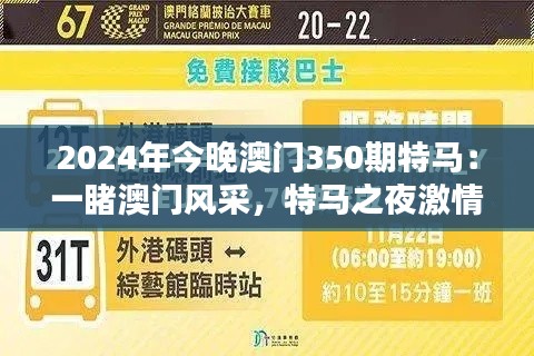 2024年今晚澳門350期特馬：一睹澳門風采，特馬之夜激情澎湃
