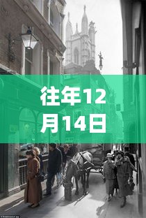 哈爾濱街景變遷下的自信與成長，勵志直播之旅回顧