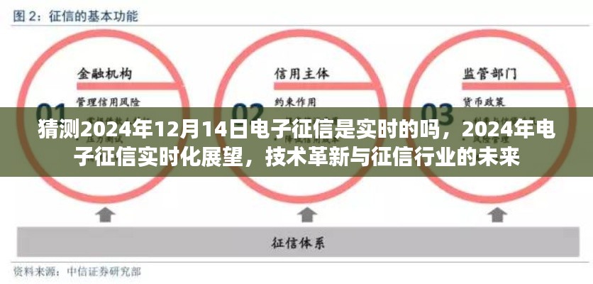 技術(shù)革新背景下，2024年電子征信實(shí)時(shí)化展望，未來征信行業(yè)的實(shí)時(shí)化趨勢與挑戰(zhàn)
