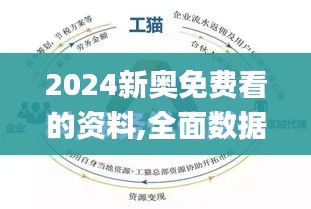 2024新奧免費看的資料,全面數據解析說明_特供版12.172