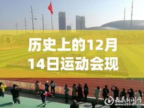 12月14日運(yùn)動(dòng)會(huì)，現(xiàn)場(chǎng)報(bào)道與心靈探索之旅，自然背后的寧?kù)o港灣