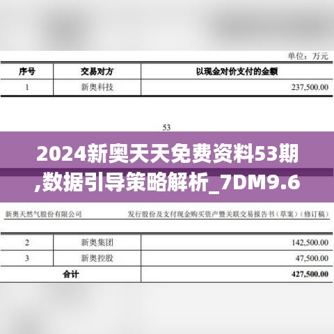 2024新奧天天免費資料53期,數據引導策略解析_7DM9.663