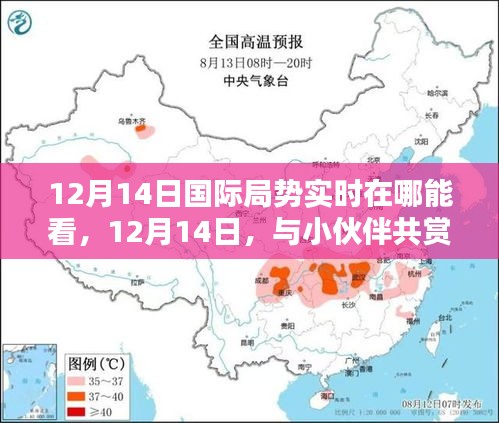 12月14日國際局勢實時觀看，共度賞析國際風云的溫馨之夜