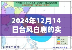 臺(tái)風(fēng)白鹿來(lái)襲，2024年12月14日天氣動(dòng)態(tài)分析與實(shí)時(shí)路徑圖