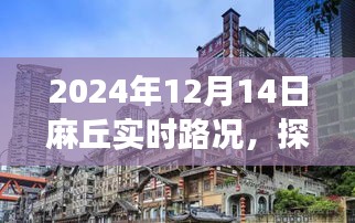 探秘麻丘小巷美食，2024年12月14日麻丘實(shí)時(shí)路況游記