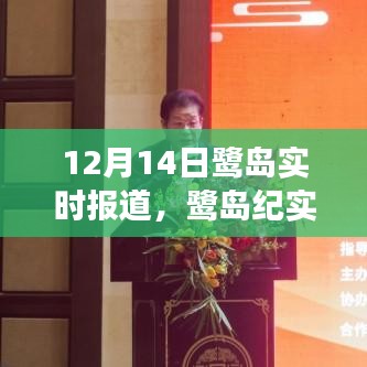 鷺島紀實，探尋城市脈搏與生態觀察的12月14日特寫