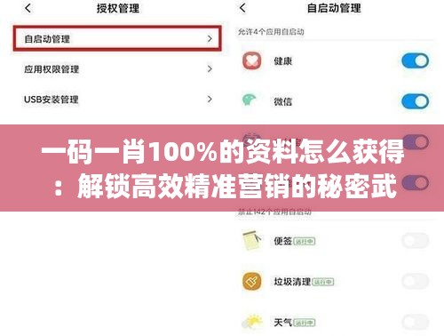 一碼一肖100%的資料怎么獲得：解鎖高效精準(zhǔn)營(yíng)銷(xiāo)的秘密武器