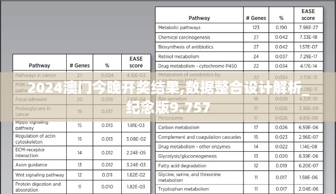 2024澳門今晚開獎結果,數據整合設計解析_紀念版9.757