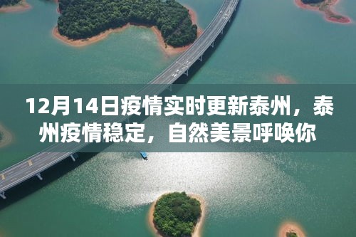 泰州疫情穩(wěn)定，自然美景呼喚探索，12月14日疫情實時更新