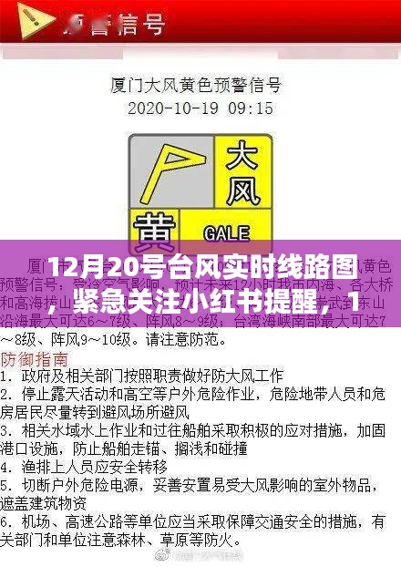 12月20號臺風實時線路圖解析及小紅書緊急提醒，安全與準備并行
