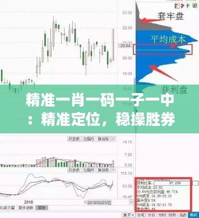 精準一肖一碼一子一中：精準定位，穩操勝券的秘訣