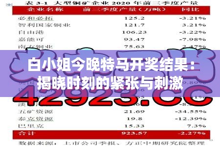 白小姐今晚特馬開獎結果：揭曉時刻的緊張與刺激