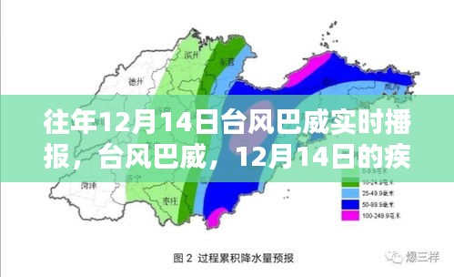 臺風巴威來襲，疾風驟雨與深遠影響的實時播報（12月14日）