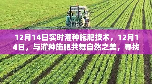 12月14日實時灌種施肥技術(shù)，與自然共舞，心靈寧靜之旅的開始