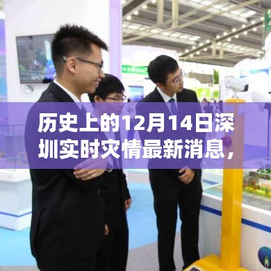 歷史上的12月14日深圳實時災情最新消息及其深度解析