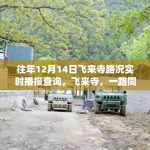 往年12月14日飛來寺路況實時播報，旅途中的日常故事與愛同行