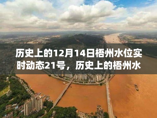 揭秘梧州水位變遷，歷史上的十二月十四日與二十一日水位動態回顧