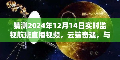 云端奇遇，共度溫馨時光，探索XXXX年XX月XX日航班直播之旅的奇妙旅程