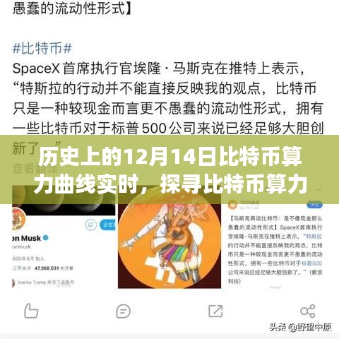 比特幣算力曲線探尋之旅，自然懷抱中的心靈平和與力量（歷史上的比特幣算力實時回顧）