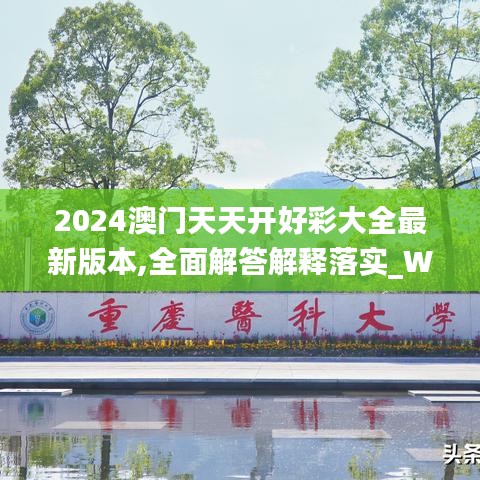 2024澳門天天開好彩大全最新版本,全面解答解釋落實_Windows3.631